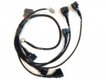 Arnés conversión de bobina VAG RB25 S1 (fabricante/OEM)